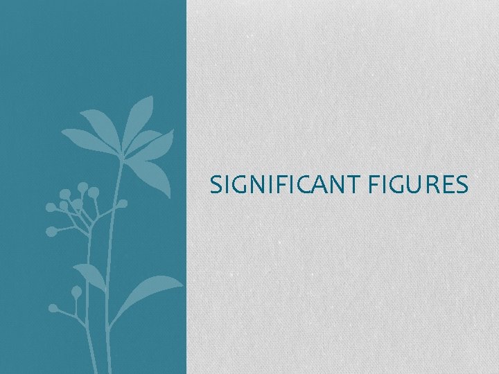 SIGNIFICANT FIGURES 