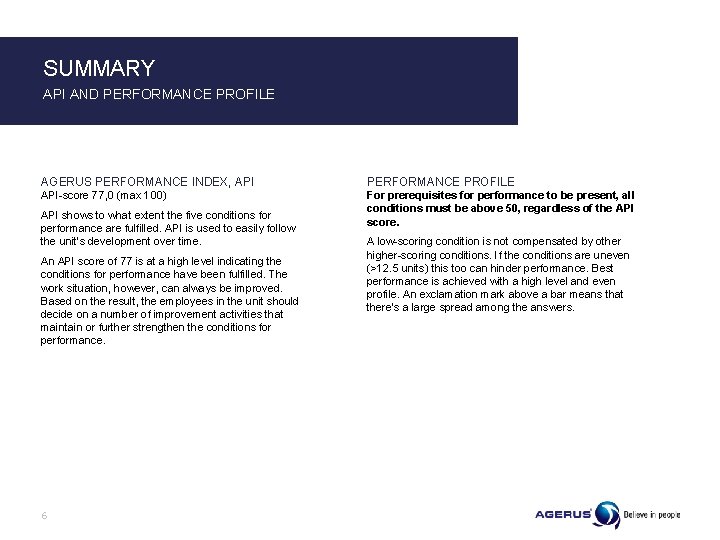 SUMMARY API AND PERFORMANCE PROFILE AGERUS PERFORMANCE INDEX, API PERFORMANCE PROFILE API-score 77, 0