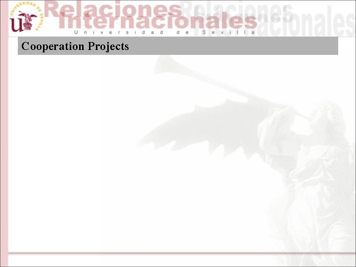 Cooperation Projects 