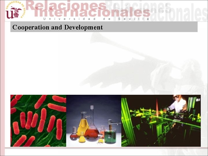 Cooperation and Development 