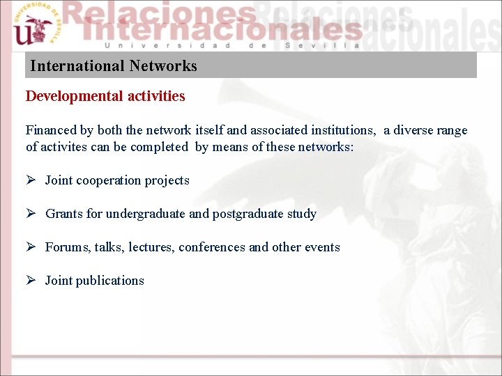 International Networks Developmental activities Financed by both the network itself and associated institutions, a