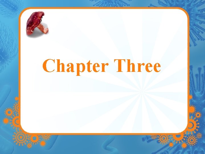 Chapter Three 