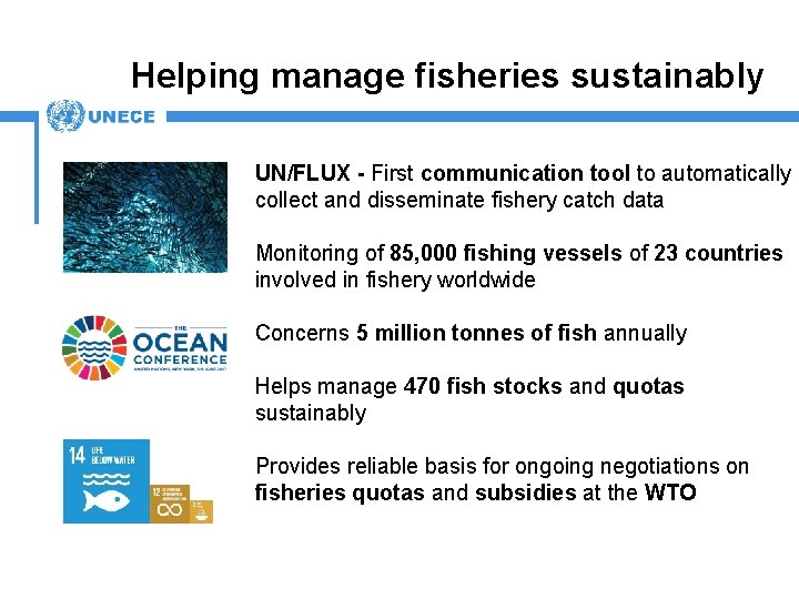 Helping manage fisheries sustainably UN/FLUX - First communication tool to automatically collect and disseminate