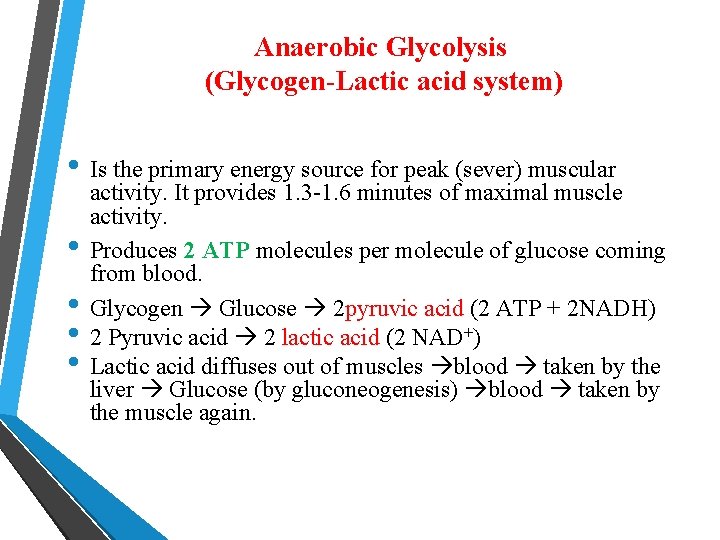 Anaerobic Glycolysis (Glycogen-Lactic acid system) • Is the primary energy source for peak (sever)