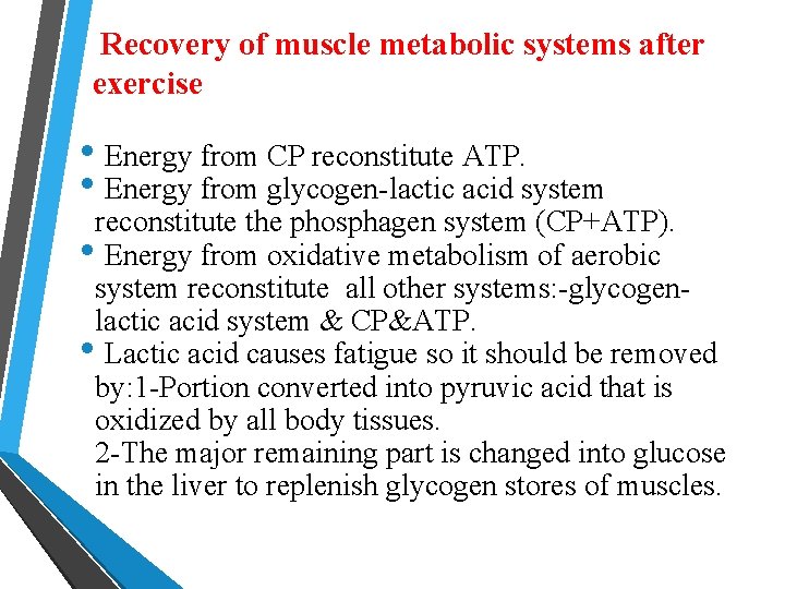  Recovery of muscle metabolic systems after exercise • Energy from CP reconstitute ATP.