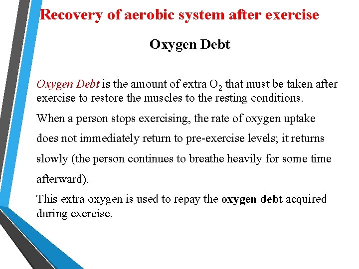 Recovery of aerobic system after exercise Oxygen Debt is the amount of extra O