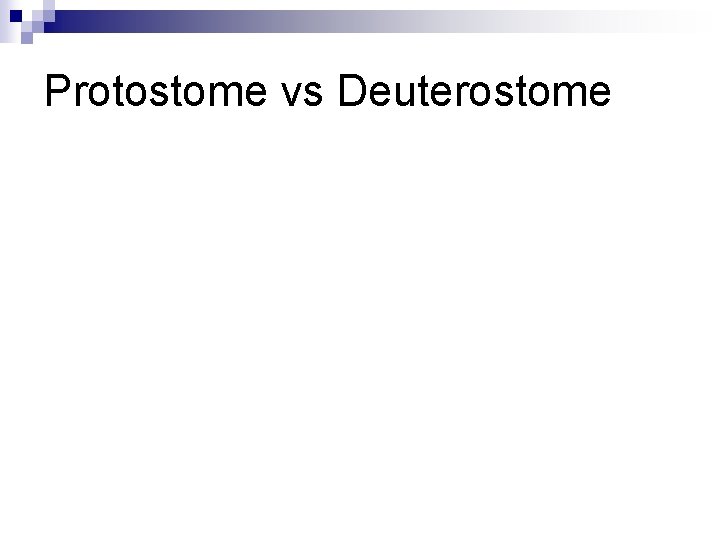 Protostome vs Deuterostome 