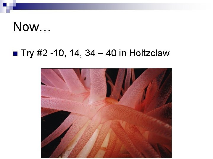 Now… n Try #2 -10, 14, 34 – 40 in Holtzclaw 