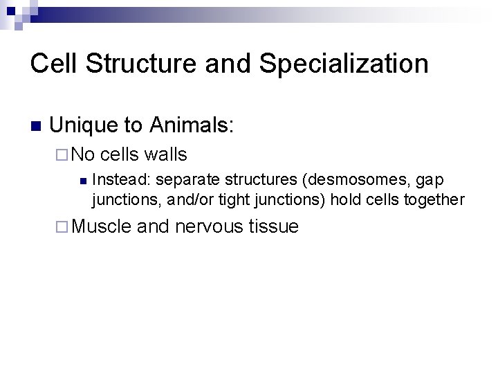 Cell Structure and Specialization n Unique to Animals: ¨ No n cells walls Instead: