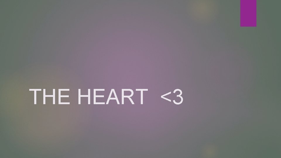 THE HEART <3 
