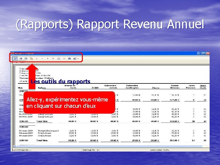 (Rapports) Rapport Revenu Annuel Les outils du rapports Allez-y, expérimentez vous-même en cliquant sur