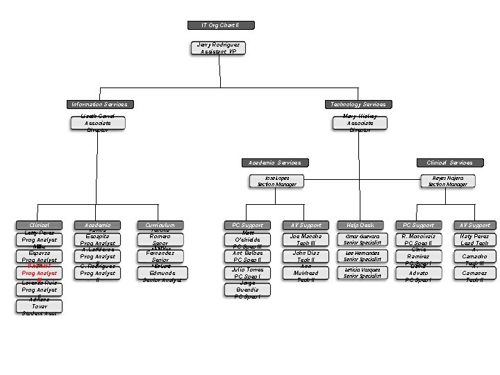 IT Org Chart II Jerry Rodriguez Assistant VP Information Services Technology Services Lizeth Corral