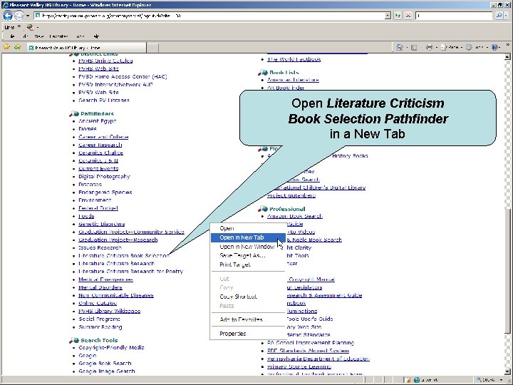 Open Literature Criticism Book Selection Pathfinder in a New Tab 