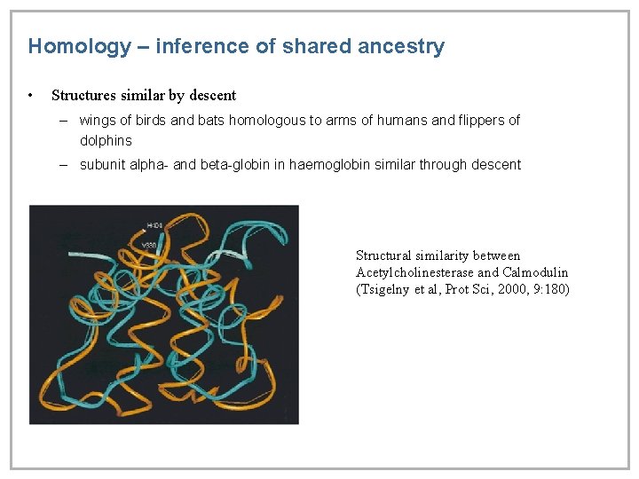 Homology – inference of shared ancestry • Structures similar by descent – wings of