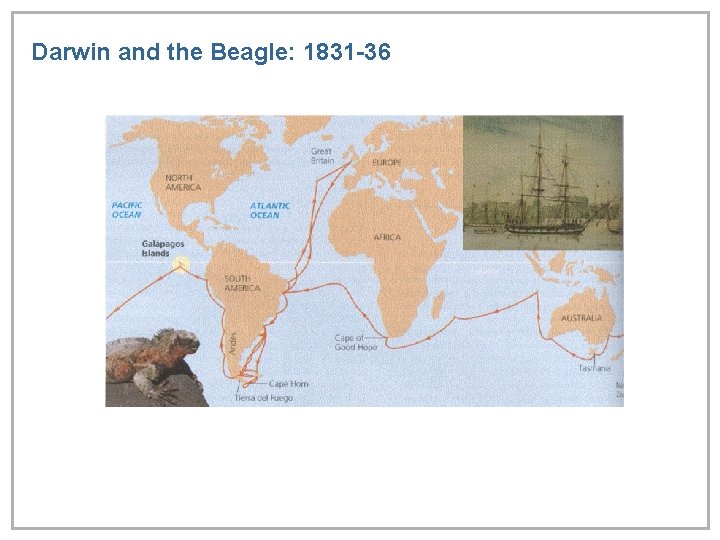 Darwin and the Beagle: 1831 -36 <<insert picture p 432 Campbell>> 