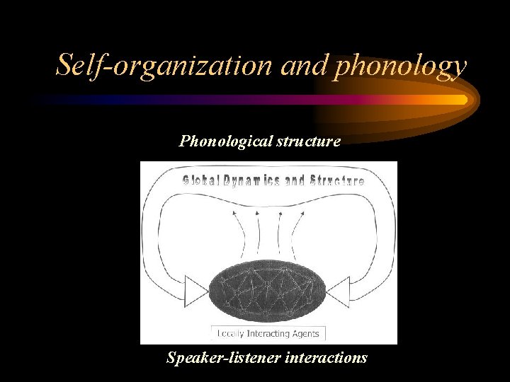 Self-organization and phonology Phonological structure Speaker-listener interactions 