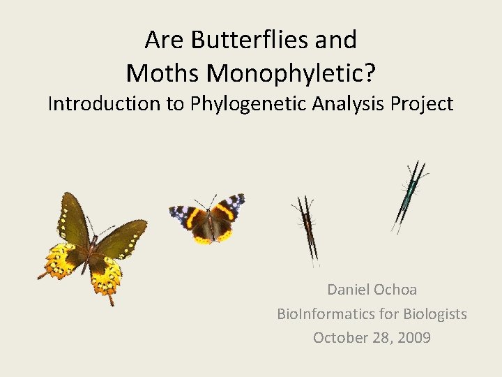 Are Butterflies and Moths Monophyletic? Introduction to Phylogenetic Analysis Project Daniel Ochoa Bio. Informatics