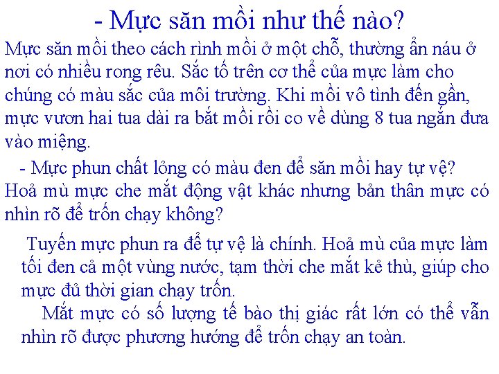 - Mực săn mồi như thế nào? Mực săn mồi theo cách rình mồi