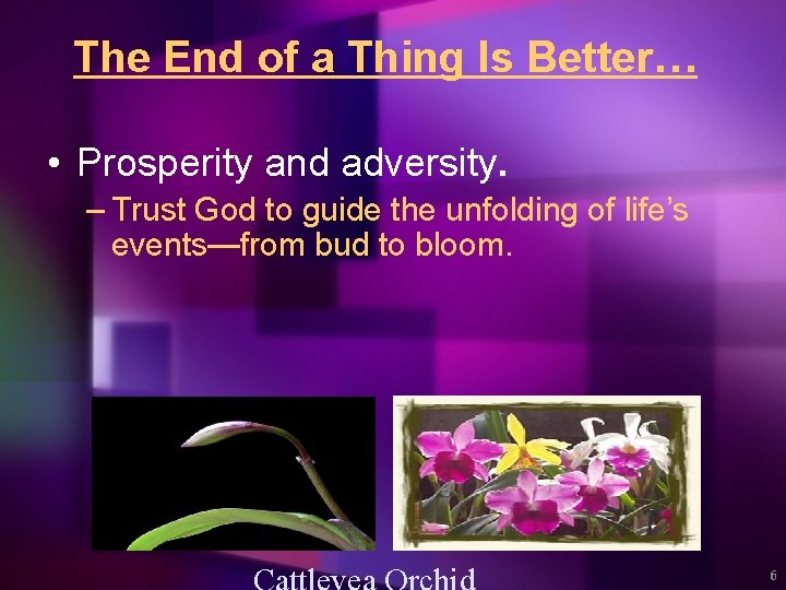The End of a Thing Is Better… • Prosperity and adversity. – Trust God
