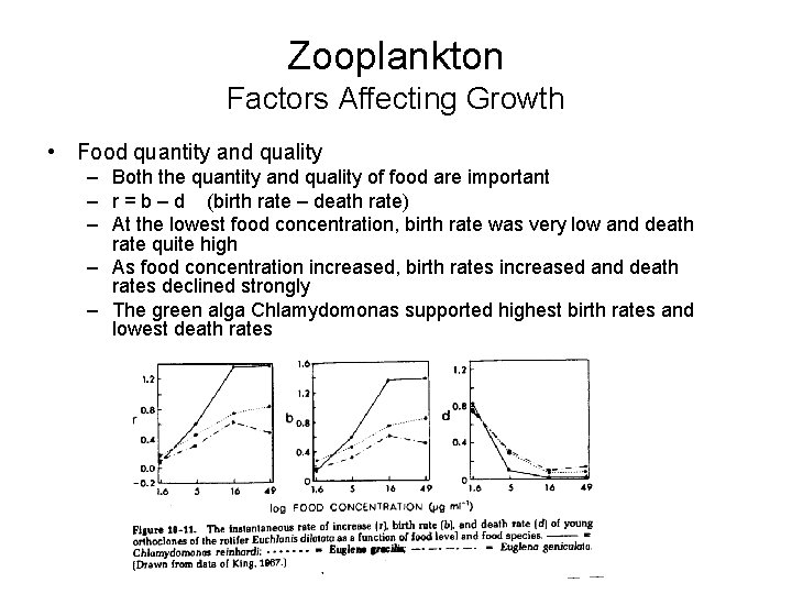 Zooplankton Factors Affecting Growth • Food quantity and quality – Both the quantity and