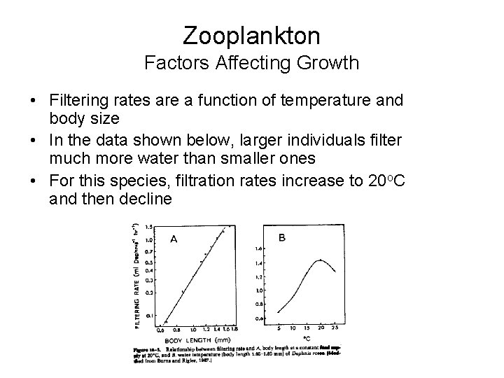 Zooplankton Factors Affecting Growth • Filtering rates are a function of temperature and body