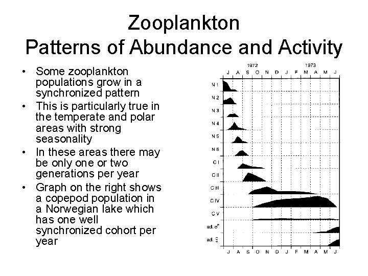Zooplankton Patterns of Abundance and Activity • Some zooplankton populations grow in a synchronized