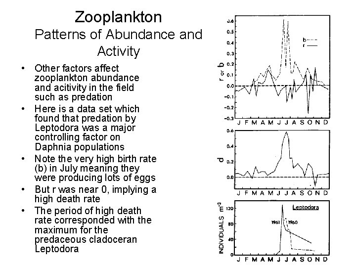 Zooplankton Patterns of Abundance and Activity • Other factors affect zooplankton abundance and acitivity