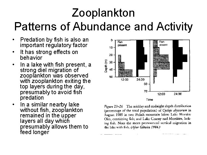 Zooplankton Patterns of Abundance and Activity • Predation by fish is also an important