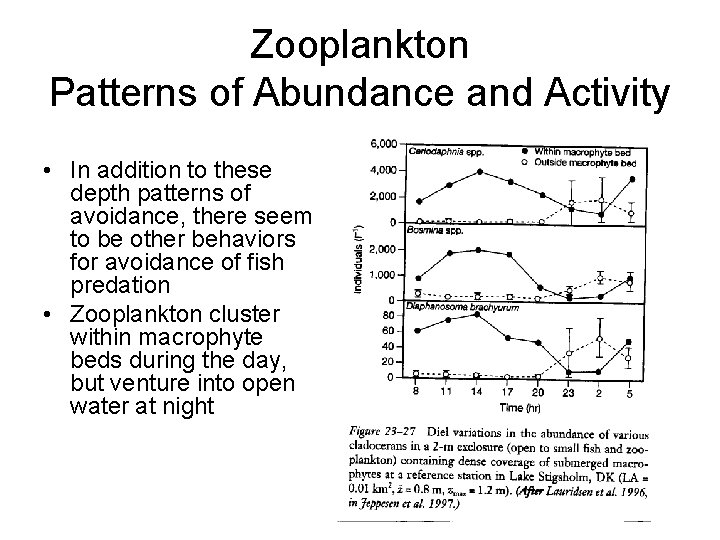 Zooplankton Patterns of Abundance and Activity • In addition to these depth patterns of