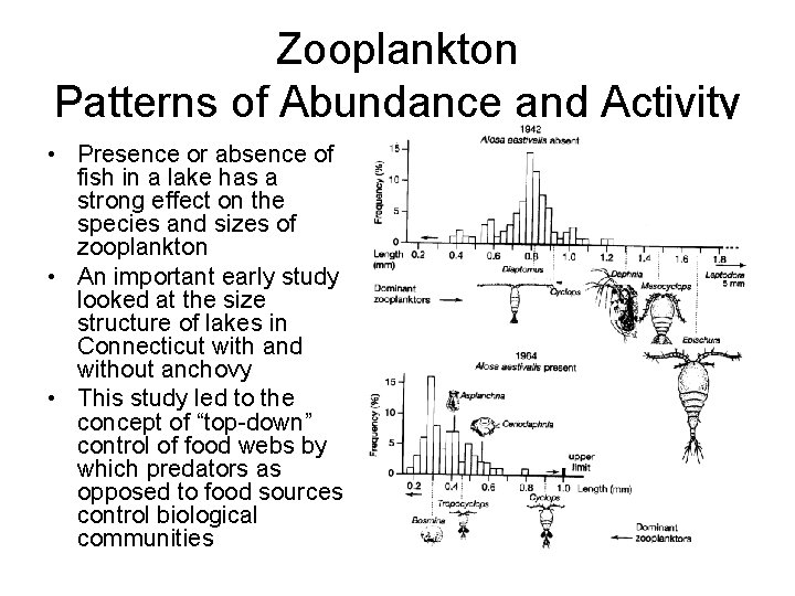 Zooplankton Patterns of Abundance and Activity • Presence or absence of fish in a