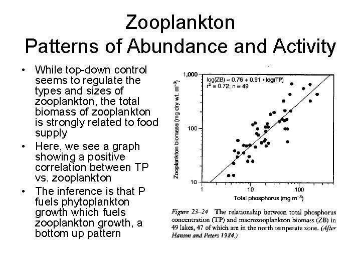 Zooplankton Patterns of Abundance and Activity • While top-down control seems to regulate the