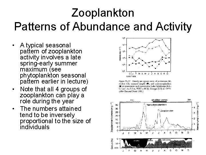 Zooplankton Patterns of Abundance and Activity • A typical seasonal pattern of zooplankton activity