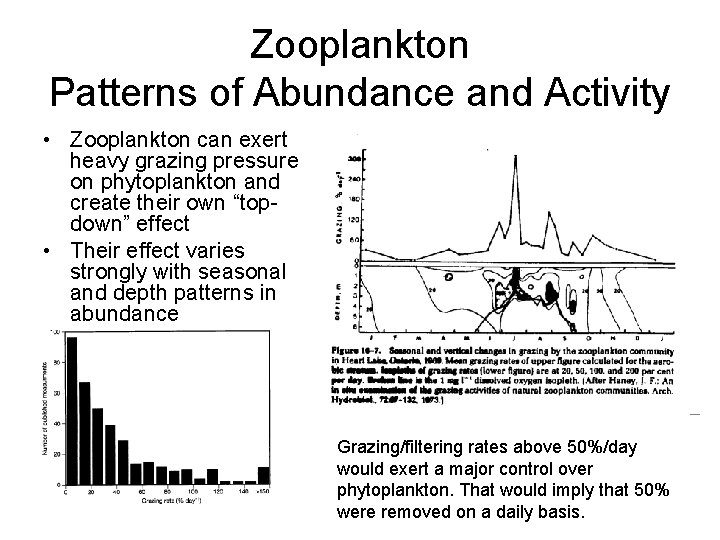 Zooplankton Patterns of Abundance and Activity • Zooplankton can exert heavy grazing pressure on