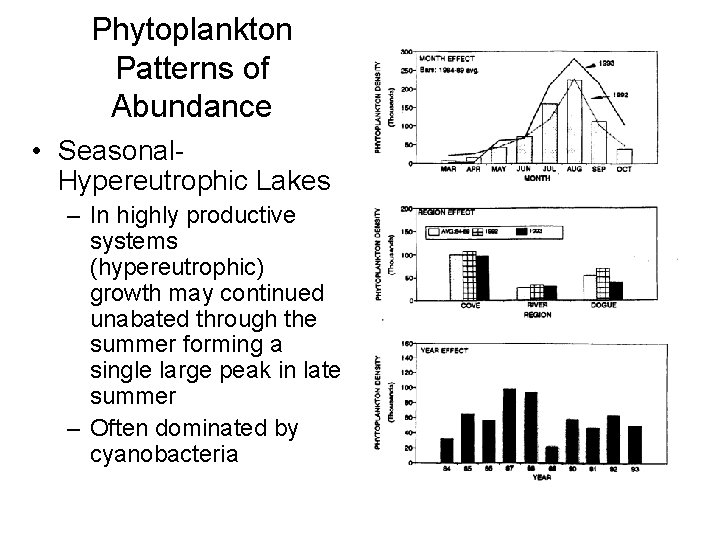 Phytoplankton Patterns of Abundance • Seasonal. Hypereutrophic Lakes – In highly productive systems (hypereutrophic)