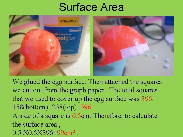 Surface Area We glued the egg surface. Then attached the squares we cut out
