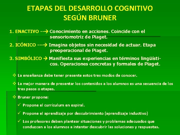 ETAPAS DEL DESARROLLO COGNITIVO SEGÚN BRUNER 1. ENACTIVO -- Conocimiento en acciones. Coincide con