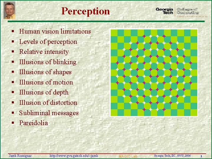 Perception § § § § § Human vision limitations Levels of perception Relative intensity