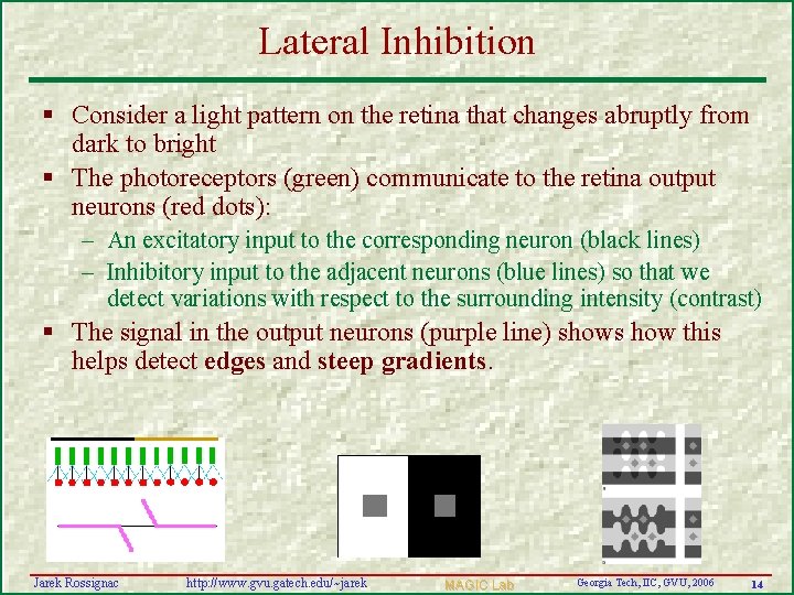 Lateral Inhibition § Consider a light pattern on the retina that changes abruptly from