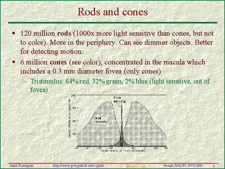 Rods and cones § 120 million rods (1000 x more light sensitive than cones,