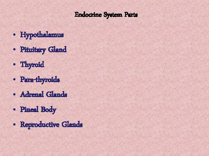 Endocrine System Parts • • Hypothalamus Pituitary Gland Thyroid Para-thyroids Adrenal Glands Pineal Body