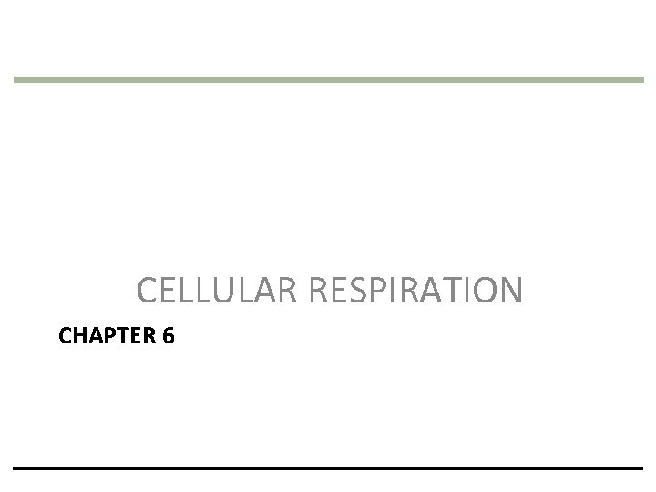 CELLULAR RESPIRATION CHAPTER 6 CELLULAR RESPIRATION CHAPTER 6