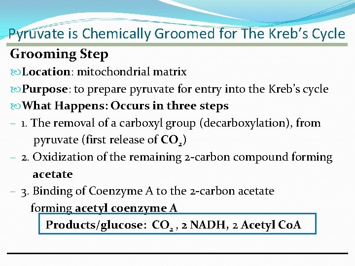 Pyruvate is Chemically Groomed for The Kreb’s Cycle Grooming Step Location: mitochondrial matrix Purpose: Pyruvate is Chemically Groomed for The Kreb’s Cycle Grooming Step Location: mitochondrial matrix Purpose: