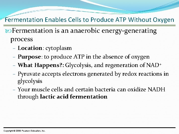 Fermentation Enables Cells to Produce ATP Without Oxygen Fermentation is an anaerobic energy-generating process Fermentation Enables Cells to Produce ATP Without Oxygen Fermentation is an anaerobic energy-generating process