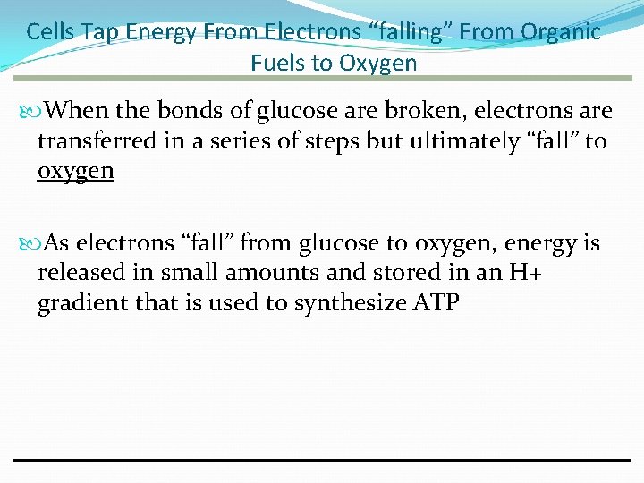 Cells Tap Energy From Electrons “falling” From Organic Fuels to Oxygen When the bonds Cells Tap Energy From Electrons “falling” From Organic Fuels to Oxygen When the bonds