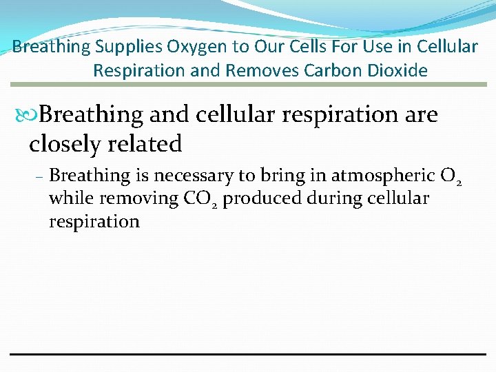 Breathing Supplies Oxygen to Our Cells For Use in Cellular Respiration and Removes Carbon Breathing Supplies Oxygen to Our Cells For Use in Cellular Respiration and Removes Carbon