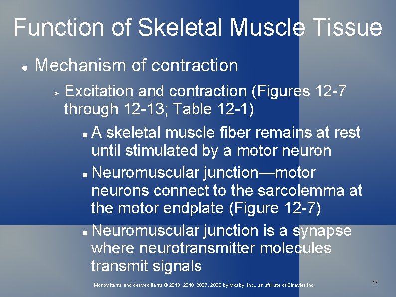 Function of Skeletal Muscle Tissue Mechanism of contraction Excitation and contraction (Figures 12 -7