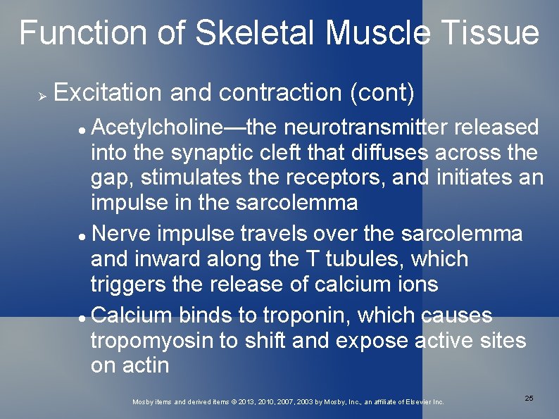 Function of Skeletal Muscle Tissue Excitation and contraction (cont) Acetylcholine—the neurotransmitter released into the