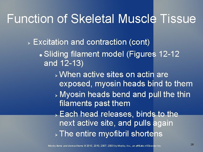 Function of Skeletal Muscle Tissue Excitation and contraction (cont) Sliding filament model (Figures 12