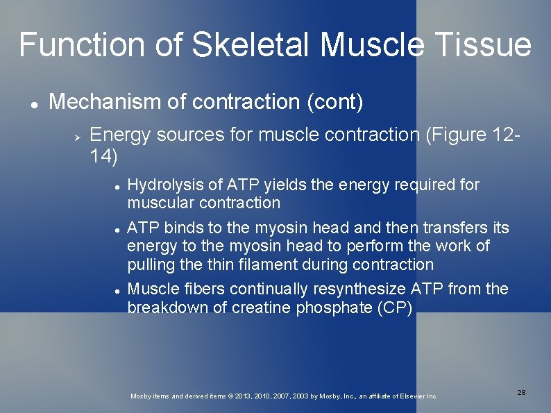 Function of Skeletal Muscle Tissue Mechanism of contraction (cont) Energy sources for muscle contraction