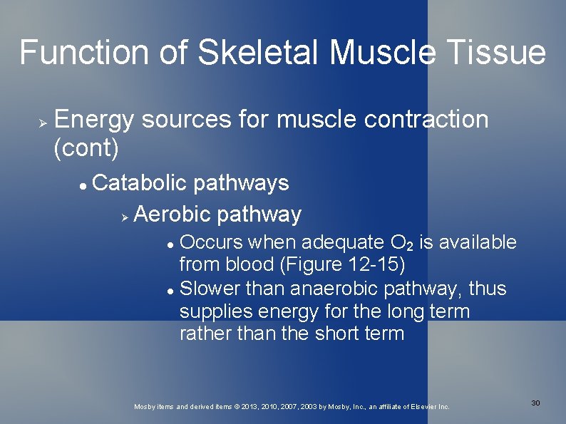 Function of Skeletal Muscle Tissue Energy sources for muscle contraction (cont) Catabolic pathways Aerobic